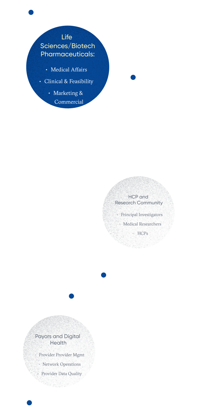 Graphic showing information in circles connected by lines